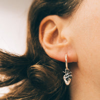 CARDIUM - Sterling Silver Hoops
