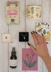 The Spring Garden Bundle Box - NOW LIVE