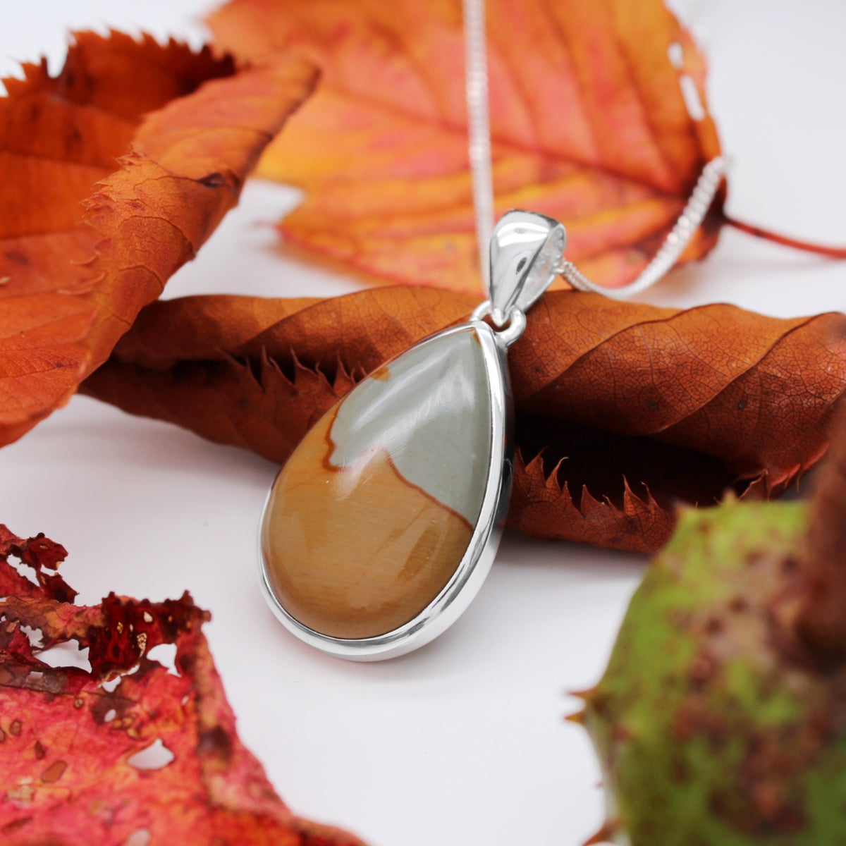 AUTUMN SKIES - Sterling Silver & Rocky Butte Picture Jasper Necklace